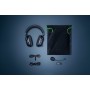 BlackShark V2 Pro (schwarz) (RZ04-03220100-R3M1)