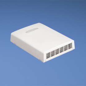 Panduit NK6BXIW-AY Placca copripresa e copri interruttori Bianco (NK6BXIW-AY)