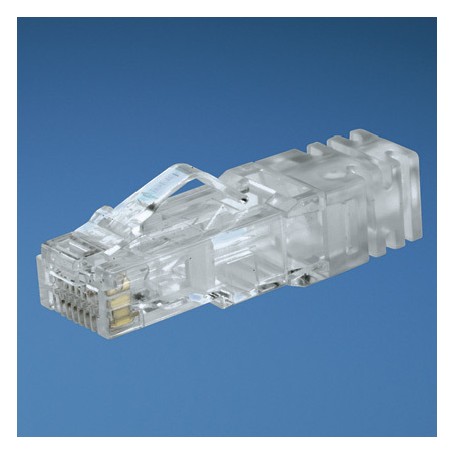 Panduit SP6X88-C cavo di collegamento RJ-45 Trasparente (SP6X88-C)