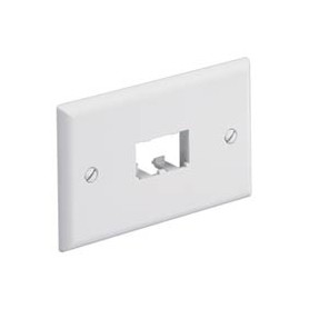 Panduit CFPH2EI Placca copripresa e copri interruttori Avorio (CFPH2EI)
