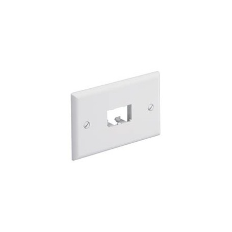 Panduit CFPH2EI Placca copripresa e copri interruttori Avorio (CFPH2EI)
