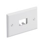 Panduit CFPH2EI Placca copripresa e copri interruttori Avorio (CFPH2EI)