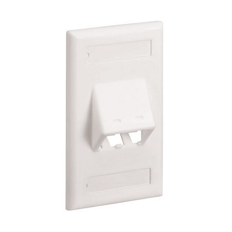 Panduit CFPSL2WHY Placca copripresa e copri interruttori Bianco (CFPSL2WHY)