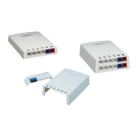Panduit 12-port Surface Mount Box telaio dell'apparecchiatura di rete (CBXF12AW-AY)