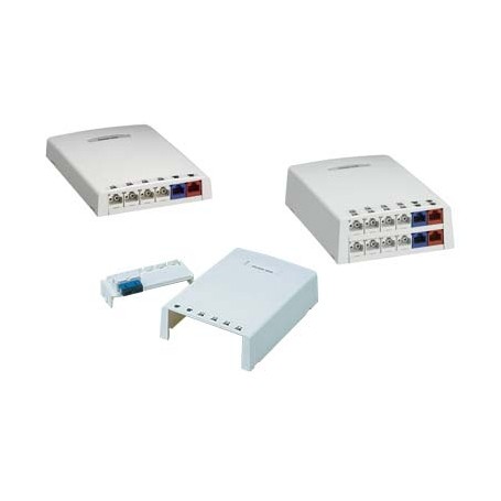 Panduit 12-port Surface Mount Box telaio dell'apparecchiatura di rete (CBXF12AW-AY)