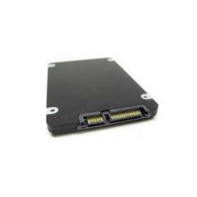 Fujitsu FUJ:CA46233-1150 drives allo stato solido 256 GB 2.5" SATA