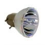 Acer MC.JQ011.003 lampada per proiettore 250 W (MC.JQ011.003)