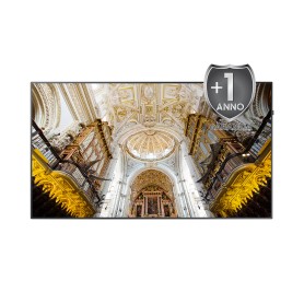 Samsung P-LM-1NXX95H estensione della garanzia 1 licenza/e 1 anno/i