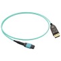 MTP TO DISPLAYPORT 1.4, CABLE, 8K/6 (119500-DP)