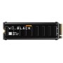 Western Digital Black SN8100 1 TB M.2 PCI Express 5.0 NVMe TLC 3D NAND (WDS100T1XHM-00CMT0)