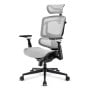 Sharkoon OfficePal C50M Seduta imbottita Schienale a rete (OFFICEPAL C50M)