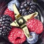 Gastroback Design Smoothie Maker Mix & Go 0,6 L Frullatore per sportivi 300 W Acciaio inox (41033)