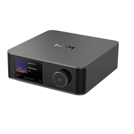 WiiM Amp Ultra 2.0 canali Multiuso Grigio (LPWIAMPUL)