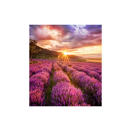Samsung LH020IFHBAE espositore video da parete Direct view LED (DVLED) Interno (LH020IFHBAE/EN)