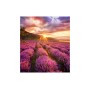 Samsung LH020IFHBAE espositore video da parete Direct view LED (DVLED) Interno (LH020IFHBAE/EN)