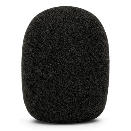 RØDE WS2