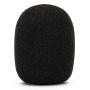 RØDE WS2