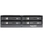 DeLOCK 47220 pannello drive bay Nero