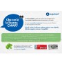 DELL 7060 SFF I5-8 16 512 CMAR (REPULPC0006IT)