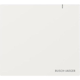 BUSCH JAEGER System Access Point 3.0 Wireless SAP.13-WL (2CKA006200A0967)