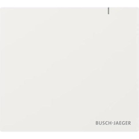 BUSCH JAEGER System Access Point 3.0 Wireless SAP.13-WL (2CKA006200A0967)