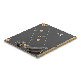 DeLOCK Convertitore MXM per M.2 NVMe chiave M (61057)