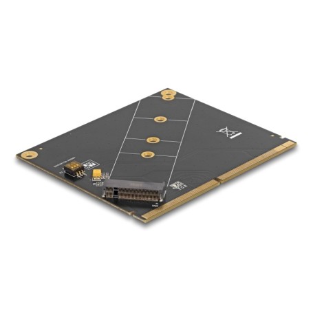 DeLOCK Convertitore MXM per M.2 NVMe chiave M (61057)