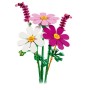 FIORI DI COSMOS (11514)
