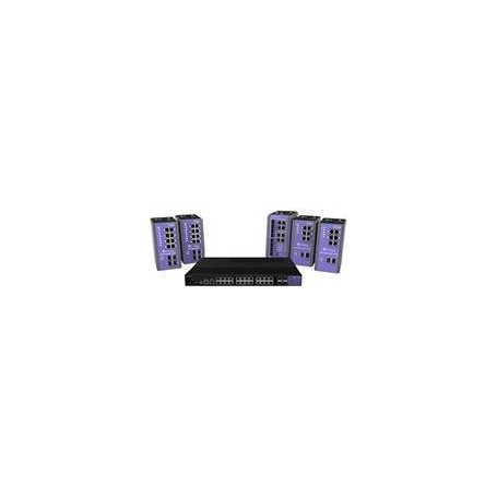 Extreme Networks - ISW Switches (ISW-24W-4X)