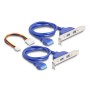 DeLOCK 61066 scheda di interfaccia e adattatore Interno USB 3.2 Gen 1 (3.1 Gen 1)