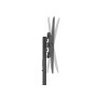 Equip Carrello TV universale 32"-55 (650607)