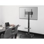 Equip Carrello TV universale 32"-55 (650607)