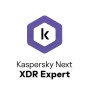 Kaspersky Next EDR Expert, 2500 - 4999 Users, 3 Year Gestione della sicurezza Base Multilingua 2500 - 4999 licenza/e 3 anno/i (KL4066XAXTR)
