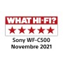 Sony WF-C500 - Auricolari True Wireless, Fino a 20 ore di durata della batteria con custodia di ricarica, Compatib (WFC500B.CE7)