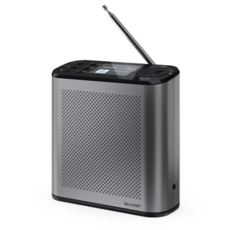 RADIO DIGITALE OSAKA (DR-P530GY)