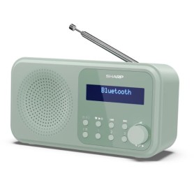 RADIO PORTATILE DIGITALE TOKIO VERD (DR-P420GN)