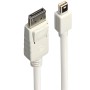 Lindy 41056 cavo DisplayPort 1 m Mini DisplayPort Bianco (41056) (41056-LND) (41056) (41056-LND) (41056) (LINDY41056)
