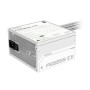 GIGABYTE P550SS ICE Alimentatore - PCIe 5.0, 80 PLUS Silver, Ventola da 120 mm, Compatibile con ATX 3.0, Spina EU (28200-P55SW-1EUR)