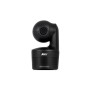 AVer DL10 2 MP Nero 1920 x 1080 Pixel 60 fps CMOS 25,4 / 2,8 mm (1 / 2.8") (61S9000000AD)
