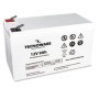Tecnoware EACPE12V09ATWP batteria UPS Acido piombo (VRLA) 12 V 9 Ah (EACPE12V09ATWP)