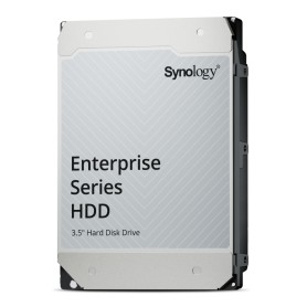 Synology HAS5320-24T disco rigido interno 24 TB 7200 Giri/min 1000 MB 3.5" SAS3