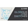 Glorious Gaming Lynx Blu, Bianco 36 pz (GLO-SWT-LYNX)