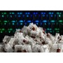 Glorious Gaming GAT-BROWN interruttore a chiave Marrone 120 pz