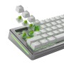 Glorious Gaming GLO-KB-ACC-SWT-RAPTOR-HE-36 accessorio del dispositivo di ingresso Interruttori a tastiera