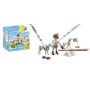 71517 Color Hundetraining