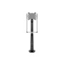 Multibrackets 2581 Supporti a parete per TV 81,3 cm (32") Scrivania Nero (MB2581)