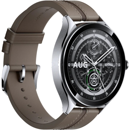Watch 2 Pro (silber/braun, Bluetooth) (BHR7216GL)