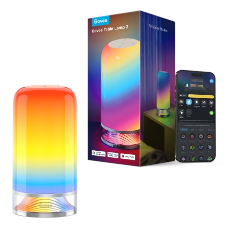 Govee H6022 Lampada da tavolo intelligente Wi-Fi/Bluetooth (H60223D1)