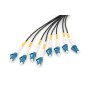 Digitus Cavo breakout universale in fibra ottica dotato di terminali, Multimode OS2, 8 fibre, LC/UPC - LC/UPC (DK-2A338UE50BK-BBB)