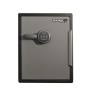 MASTER LOCK LFW205FYC cassaforte Acciaio Nero, Grigio